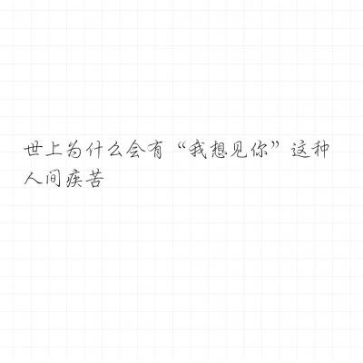 天宠岛手游下载