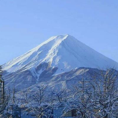 美人关游戏下载