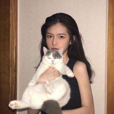 qq版放置海岛下载